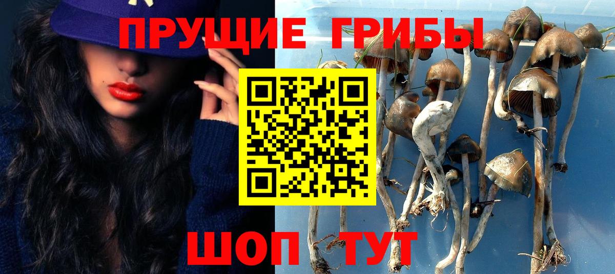Ефремов  Галлюциногенные грибы мицелий  Вход с VPN 